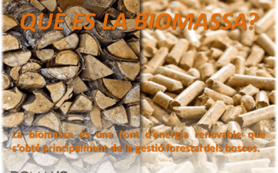 La biomassa: Què és?
